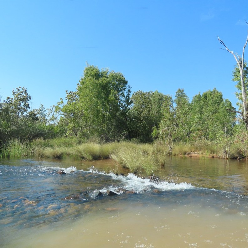 Creek crossing No 1