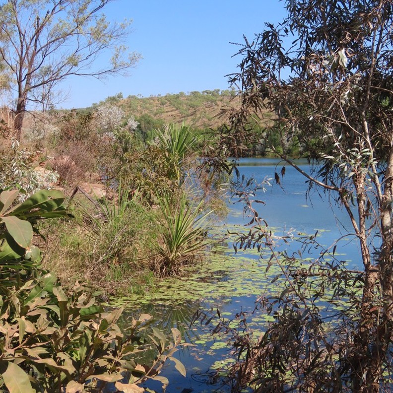 Chamberlain Gorge Cruise