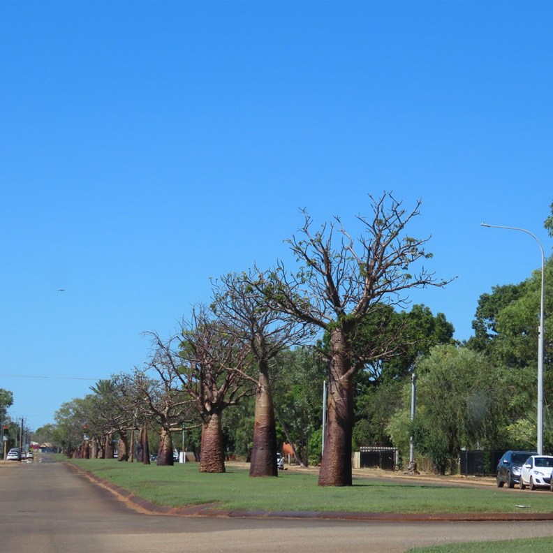 Derby Main Street