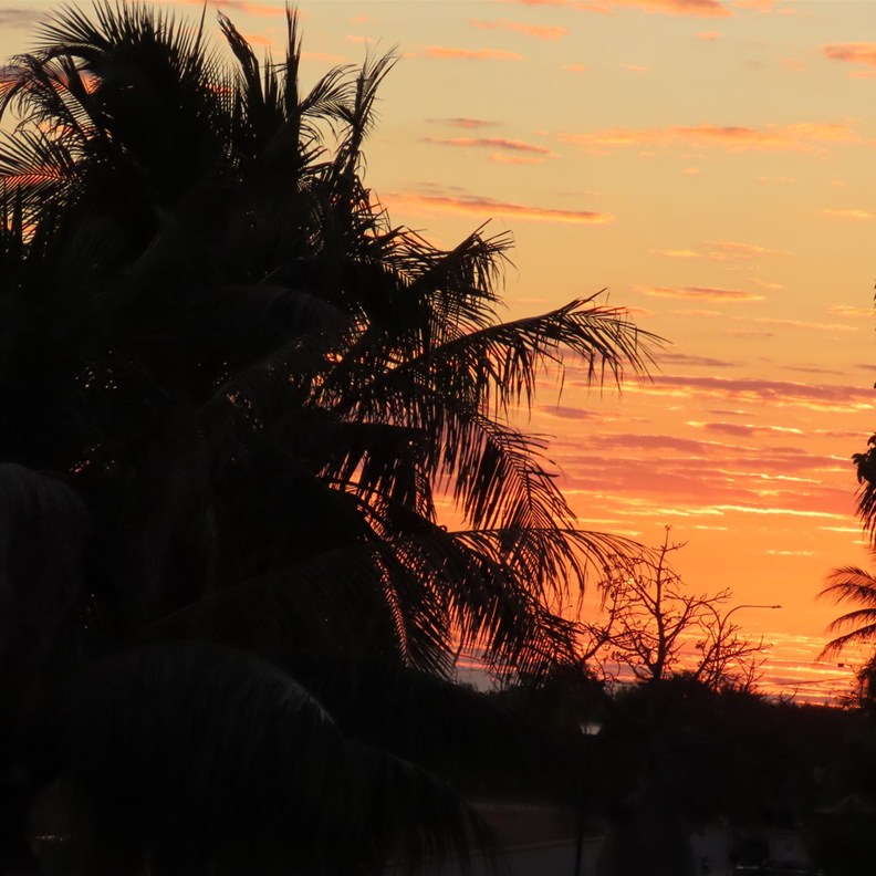 Today's Sunrise