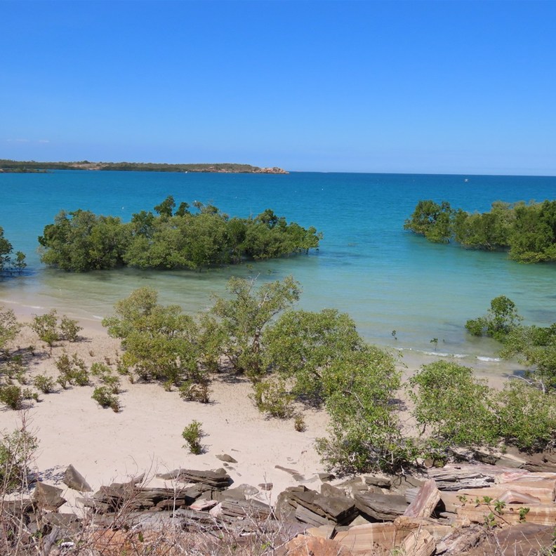 Cygnet Bay Pearl Farm 2