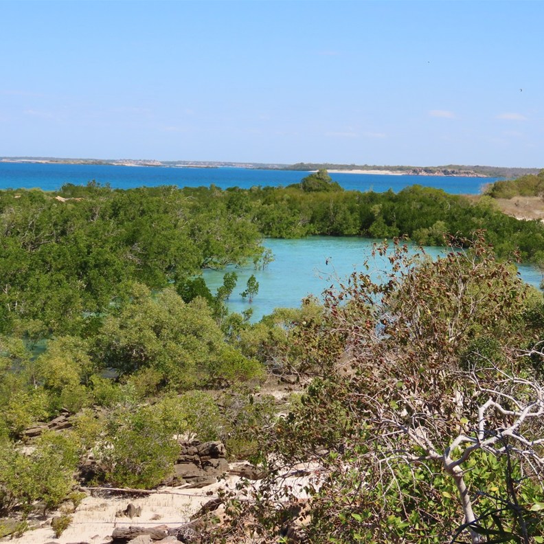 Cygnet Bay Pearl Farm 3