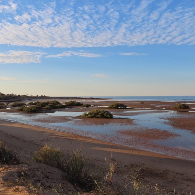 Cooke Point