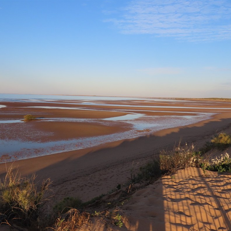 Cooke Point 2