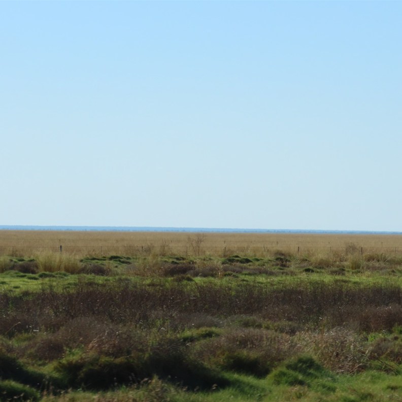 Road to Port Hedland 2