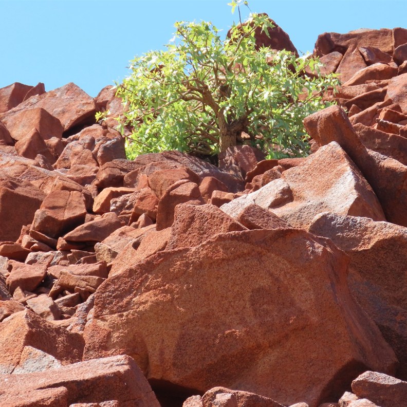 Rock Art 2