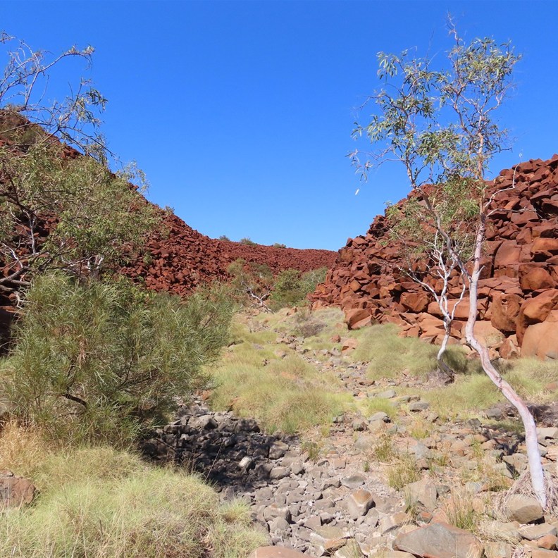 Rocks