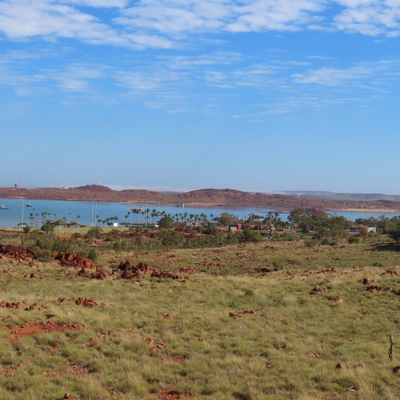 Foreshore