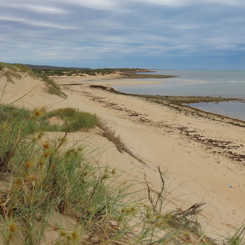 Yardie Creek Gorge 4