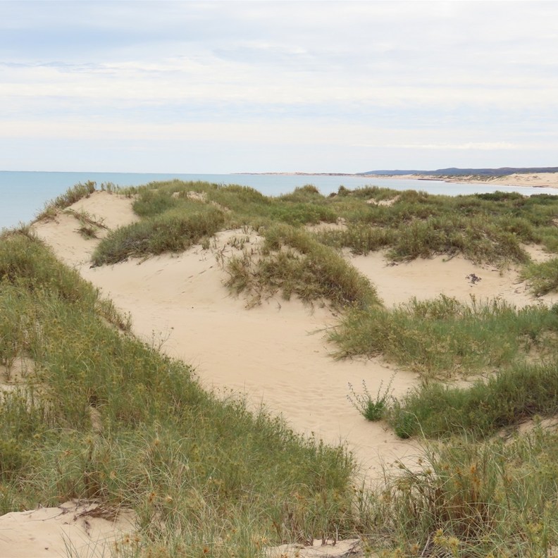 Yardie Creek Gorge 5