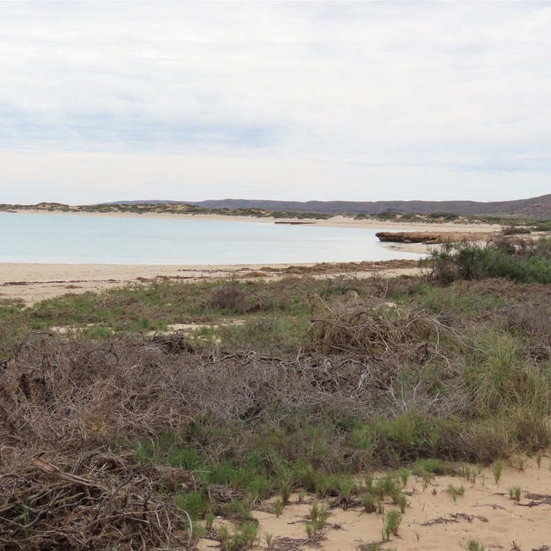 Sandy Bay