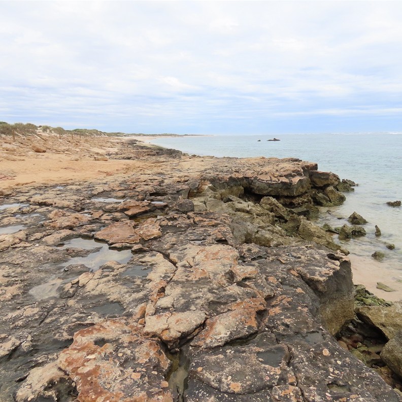 Oyster Stack 3