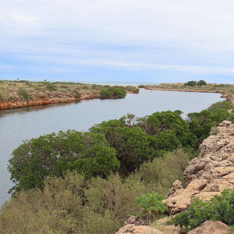 Yardie Creek Gorge 2