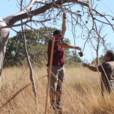 Do your thing Peter Allen (are you blokes nutz?)