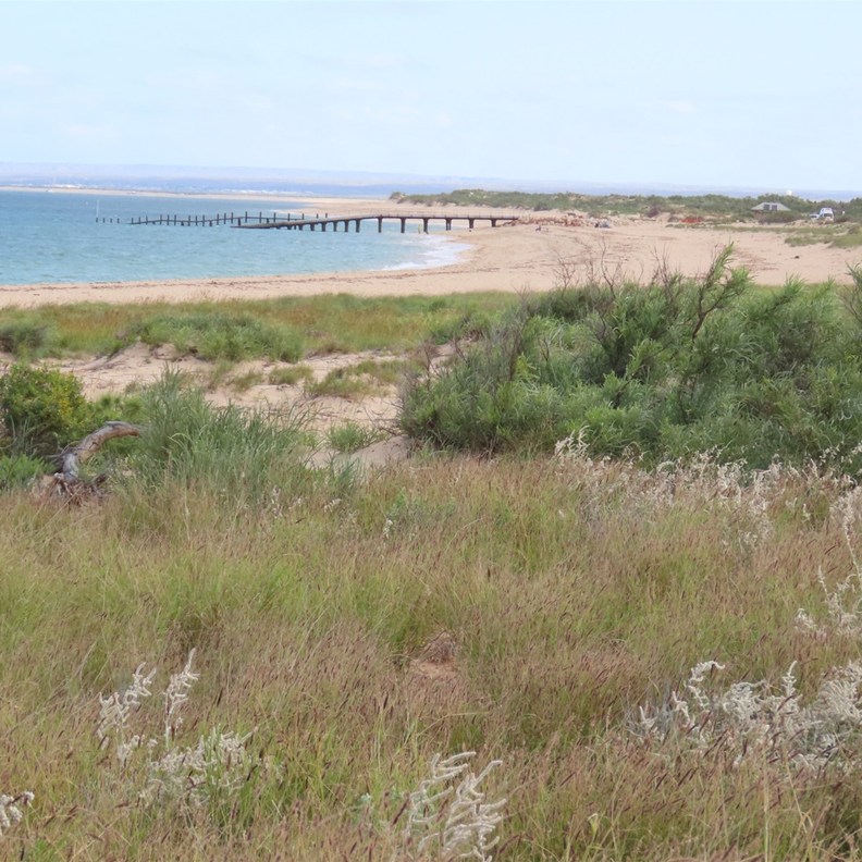 Bundegi Beach