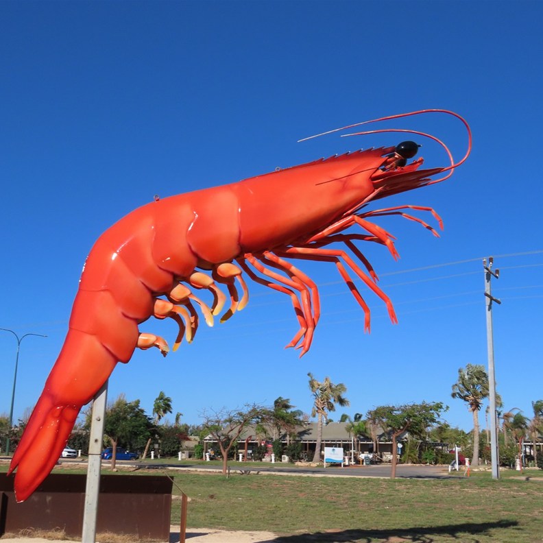 Big Prawn