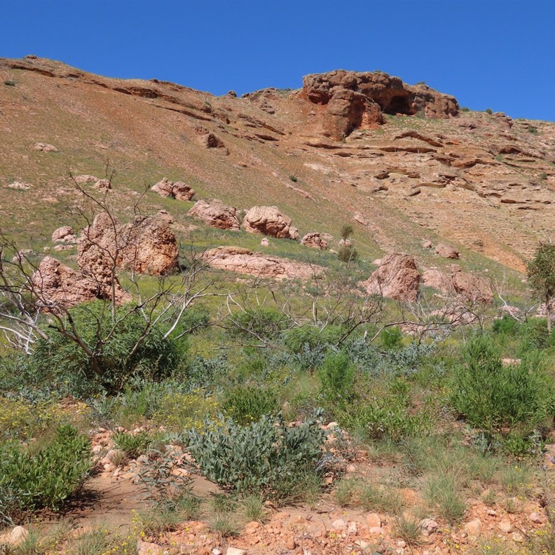 Shothole Canyon 5