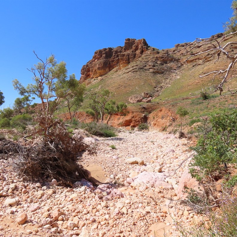 Shothole Canyon 6