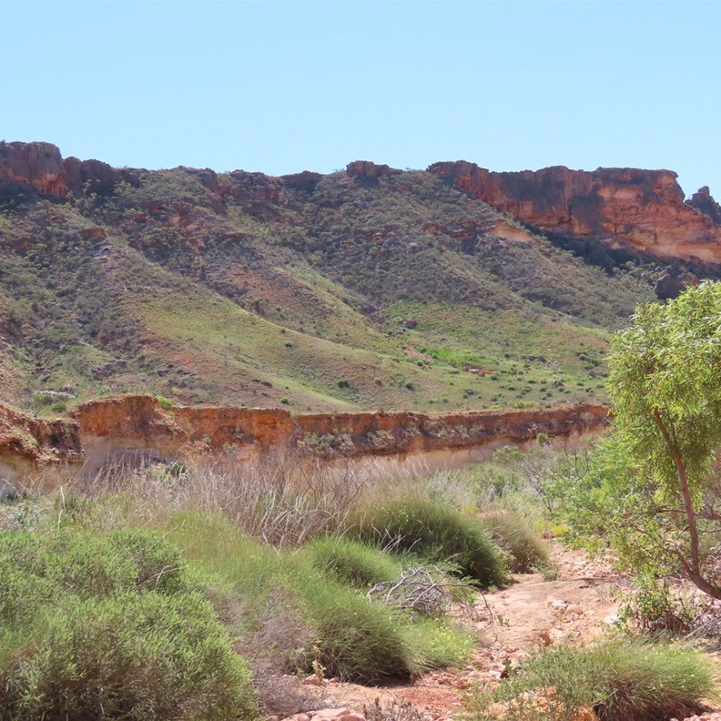 Shothole Canyon 11