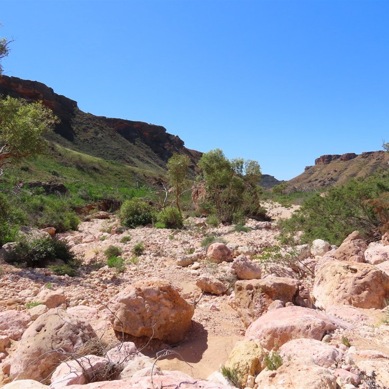 Shothole Canyon 12