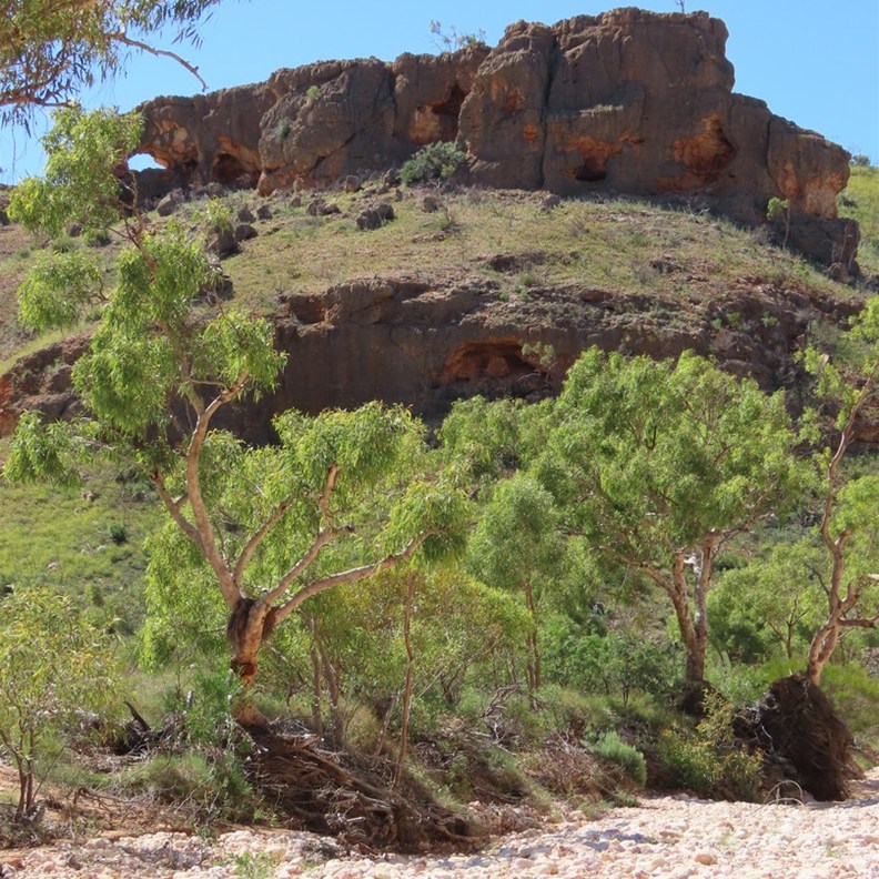 Shothole Canyon 13