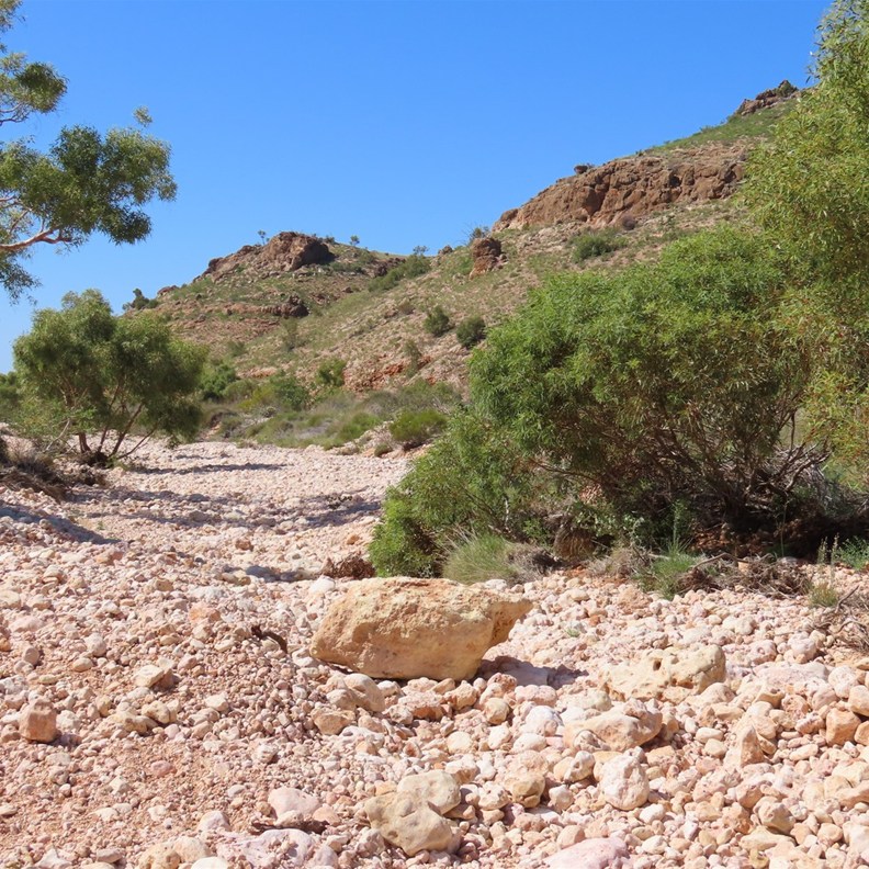Shothole Canyon 2