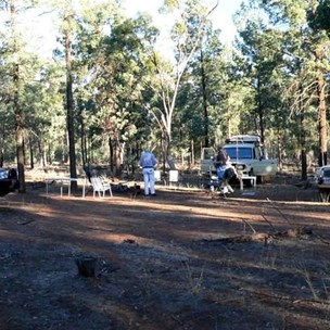 First camp - Rankin Springs State Forest