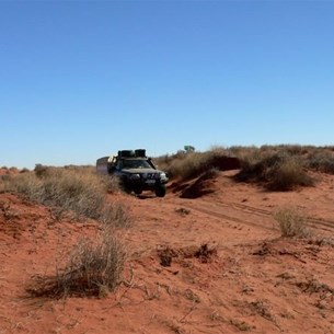 Playing in the dunes