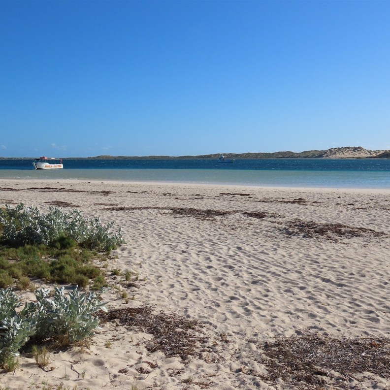 Coral Bay