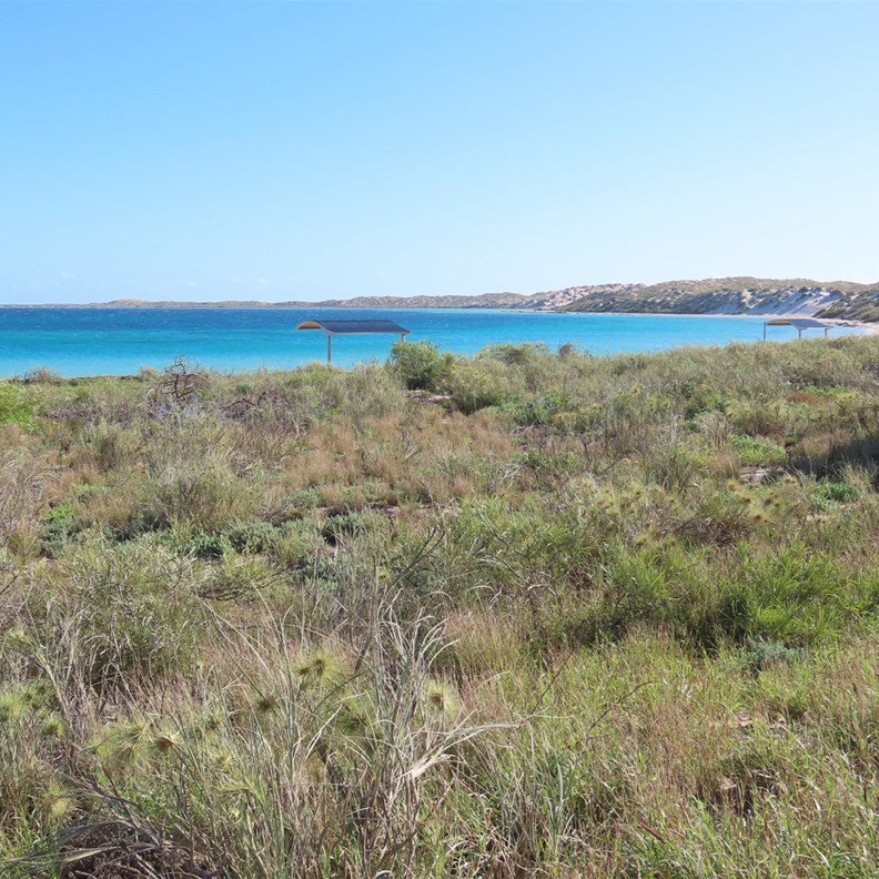 Coral Bay 2