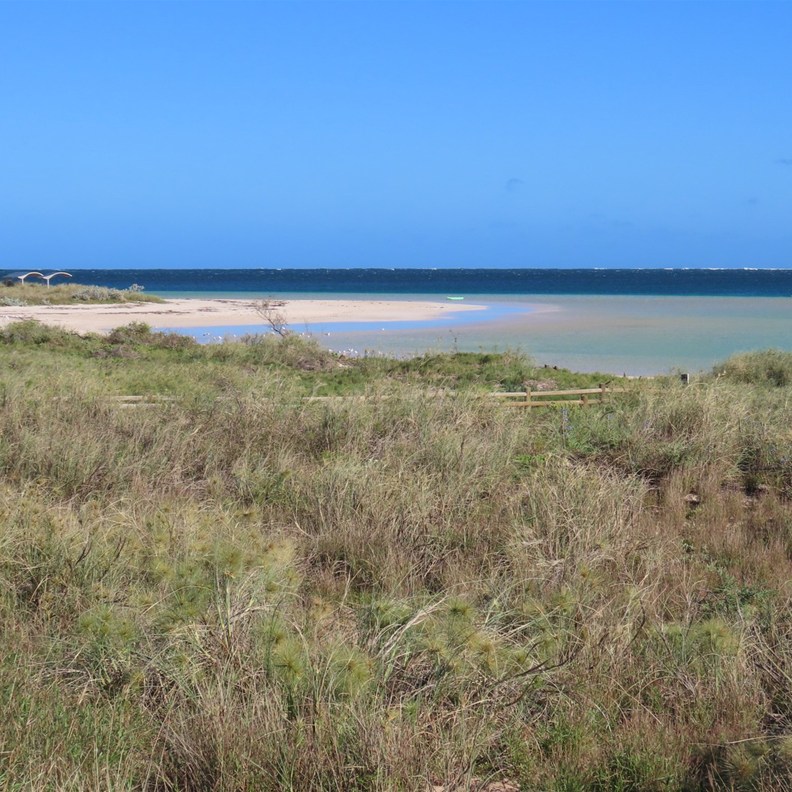Coral Bay 3