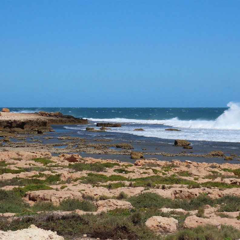 Quobba Blowholes 5