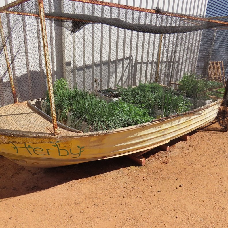 Herby the boat used as growing space for the herbs