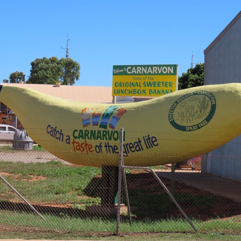 Big Banana