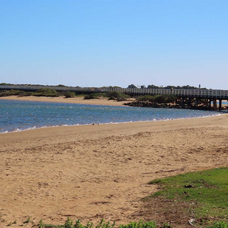 Tramway Bridge