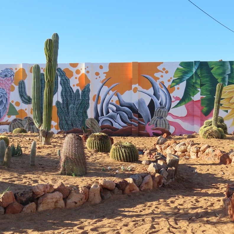 Cactus Garden