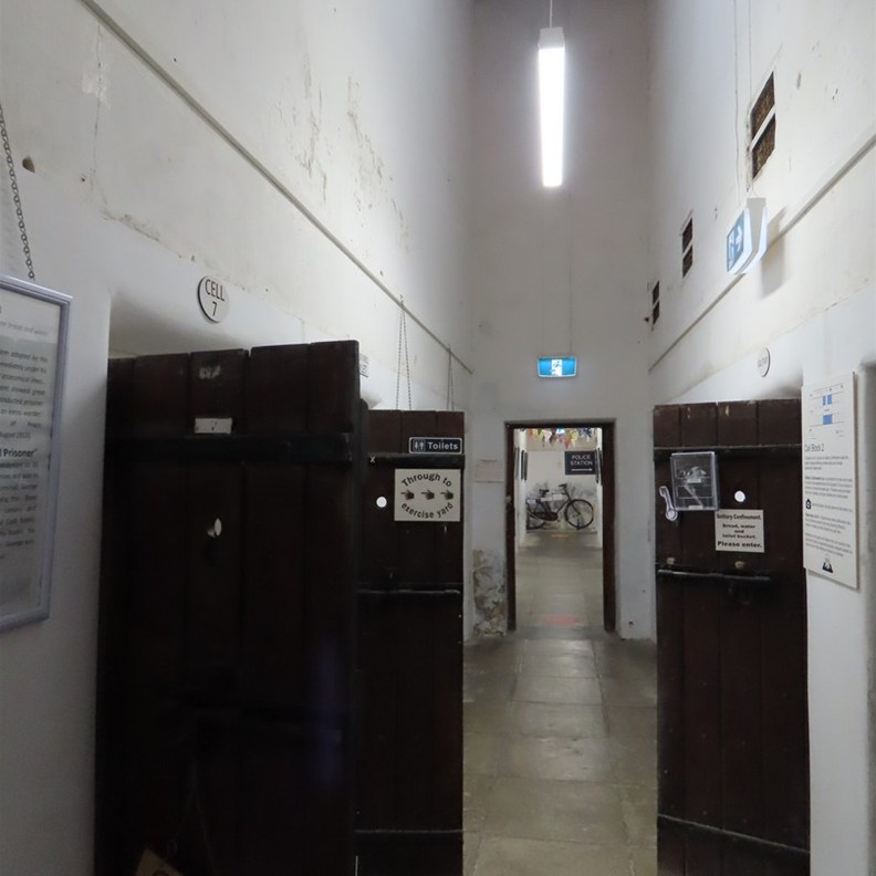 Cells
