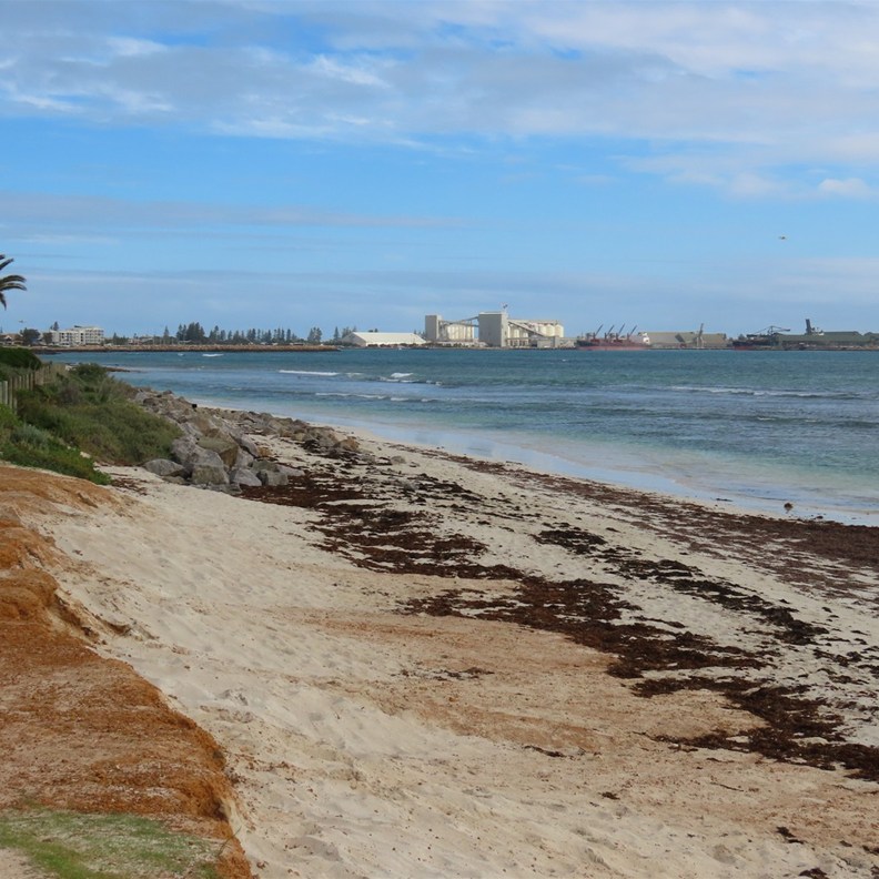 Beresford Foreshore 2