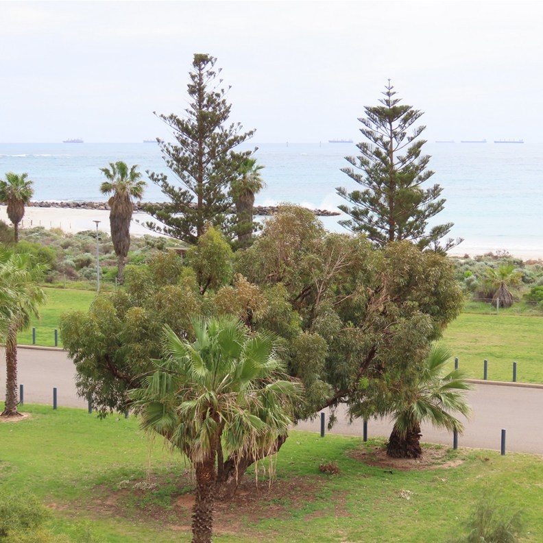 Pages Beach
