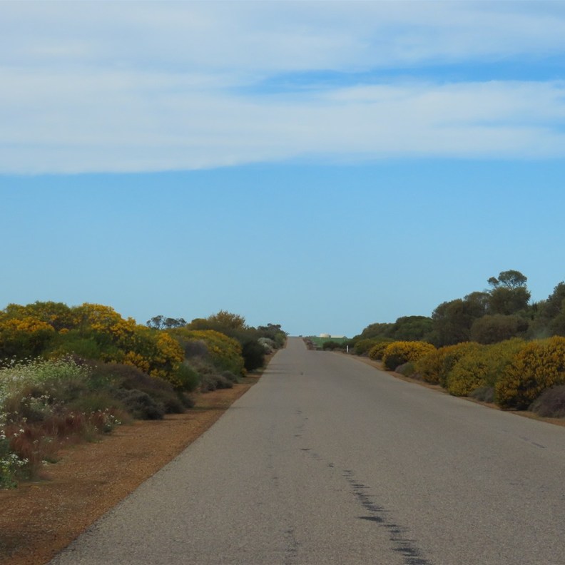 Road through Chapman Valley