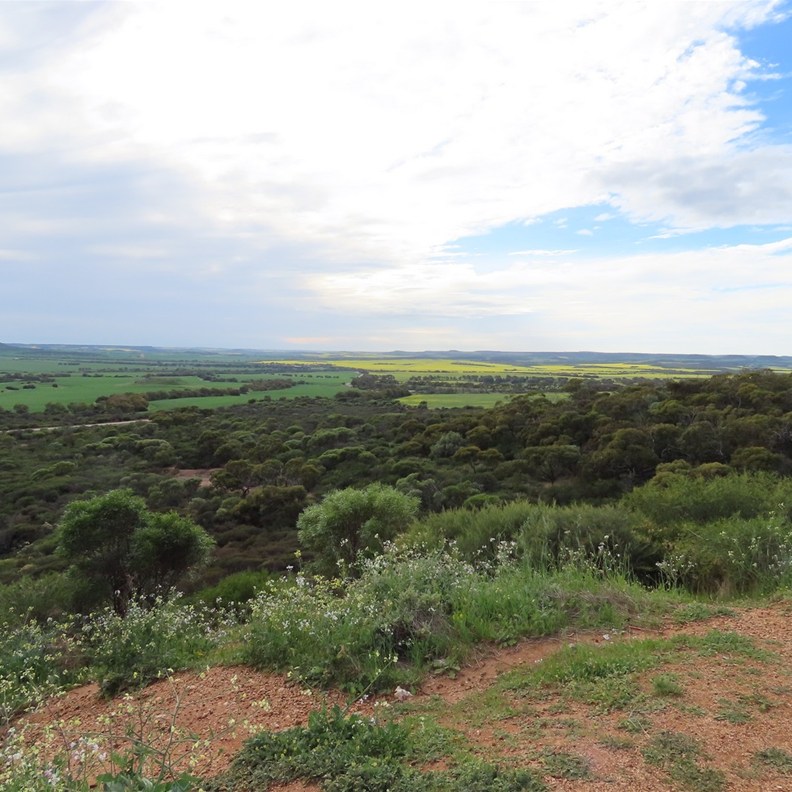 Mills Lookout Geraldton 2
