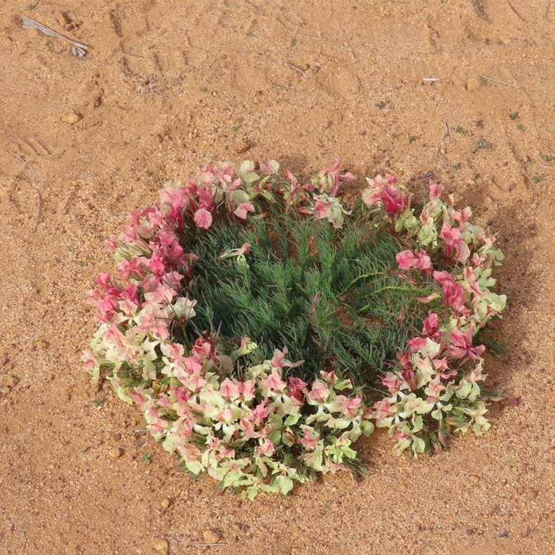 Wreath Flower 2