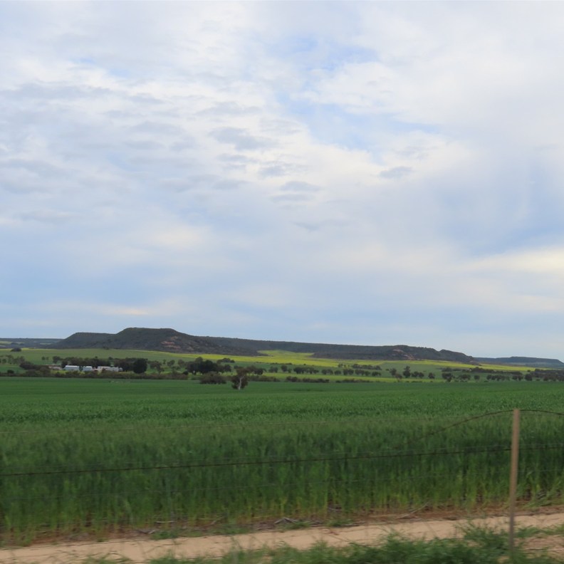 Chapman Valley