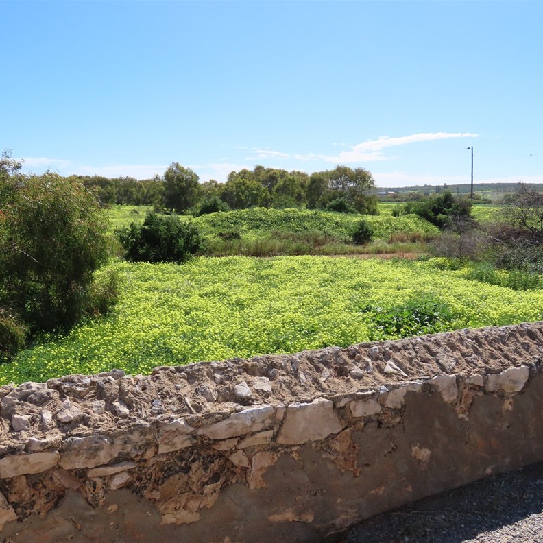Convict Bridge 2