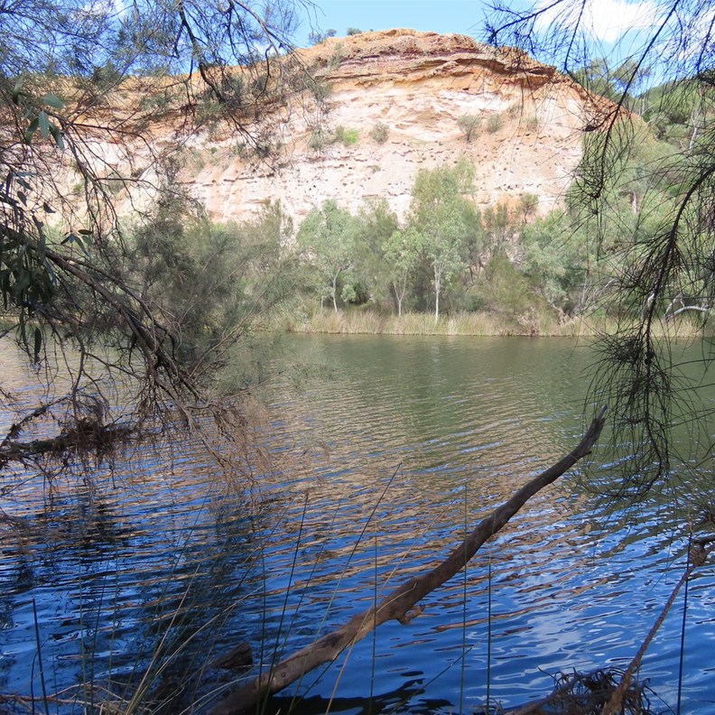 Ellendale Pool 2