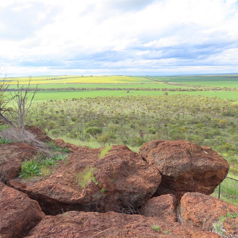 Mingenew Hill