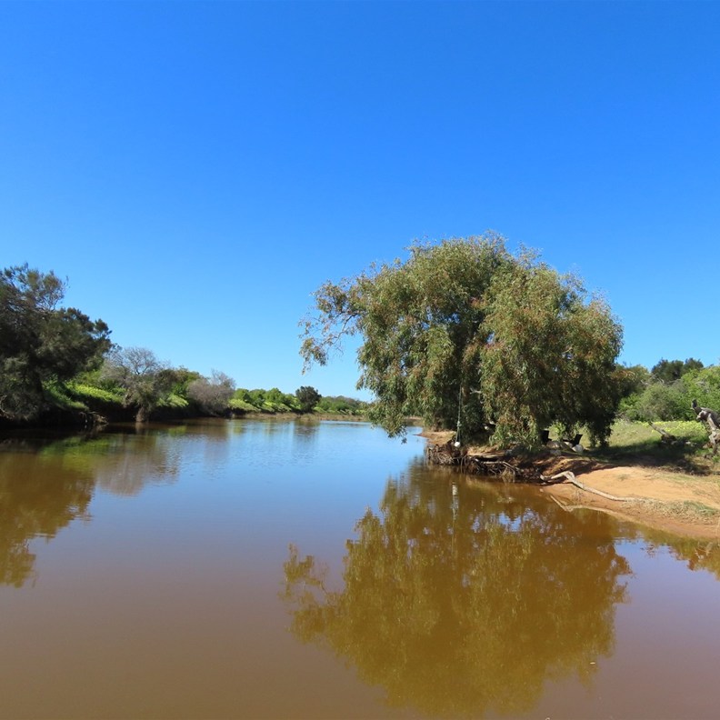 Greenough River
