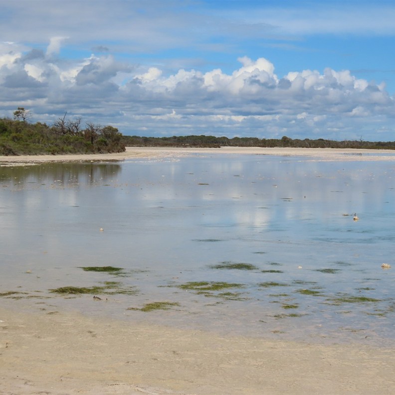 Lake near Leeman