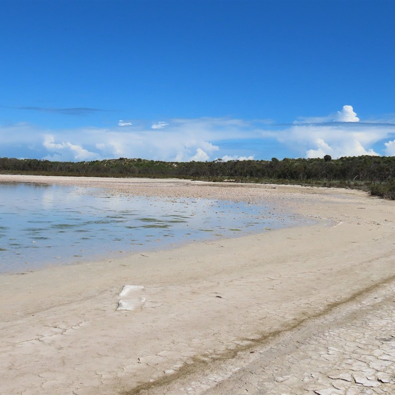 Lake near Leeman 2