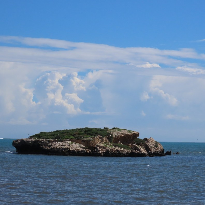 Leeman Foreshore 2